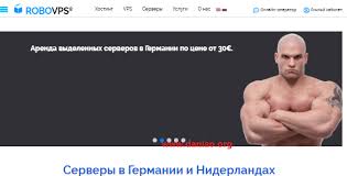 俄罗斯 (Russia)网站主机(web hosting).jpg